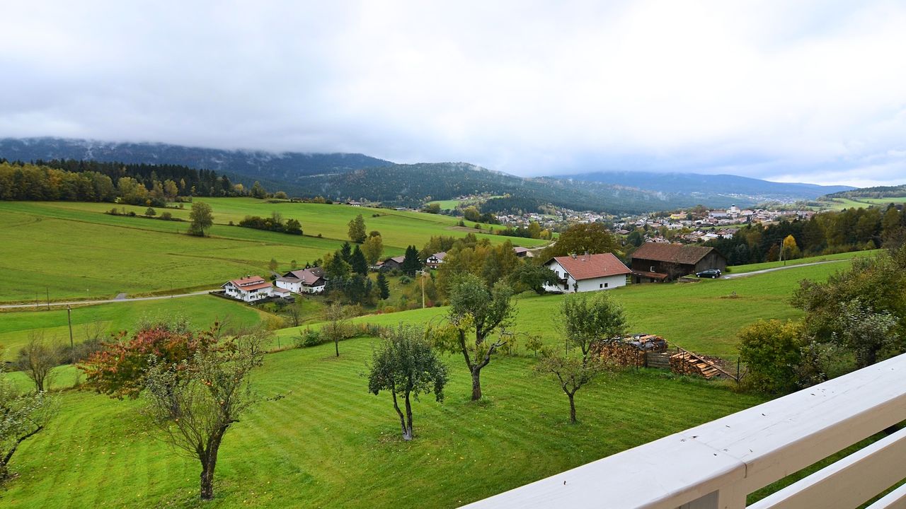 ViewSummer ViewSummer